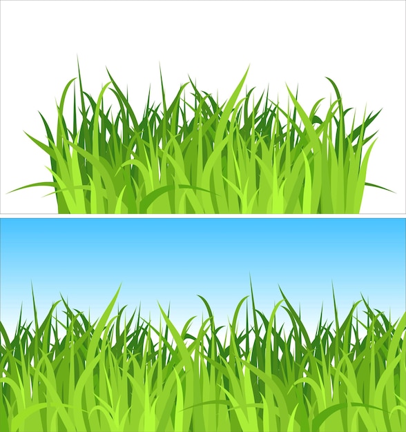 Two grass backgrounds vector