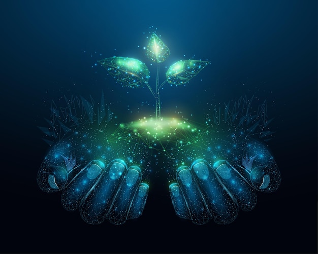 Two human hands are holds green sprout Glowing low poly hands and plant on dark blue background Wireframe low poly design Abstract futuristic vector illustration