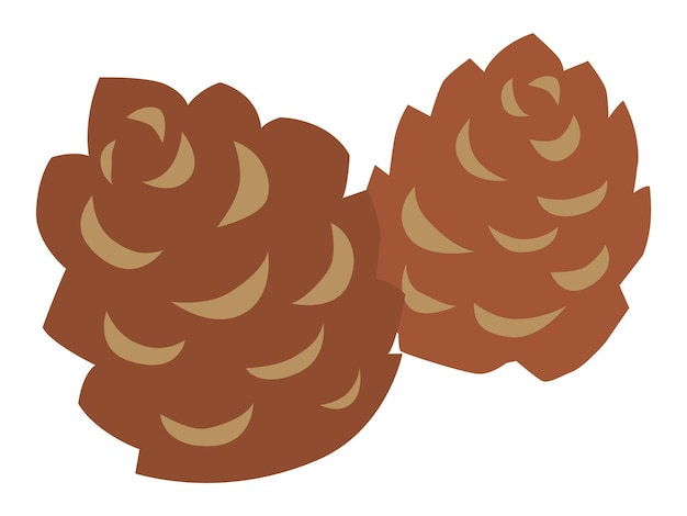 Two pine cones in the autumn