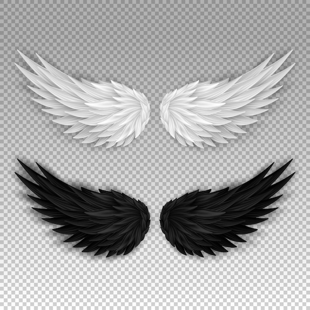 Two realistic wings. 3D white angel wings and dark devil, daemon wings. Heaven and hell concept