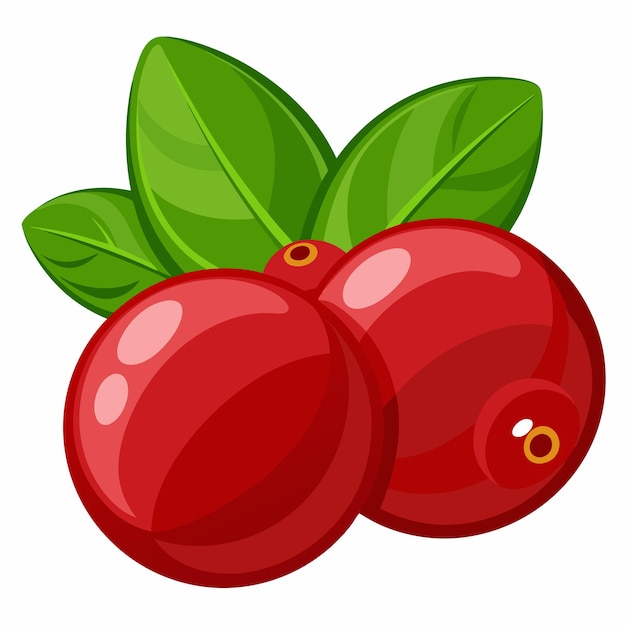 Vector two red cranberries with green leaves