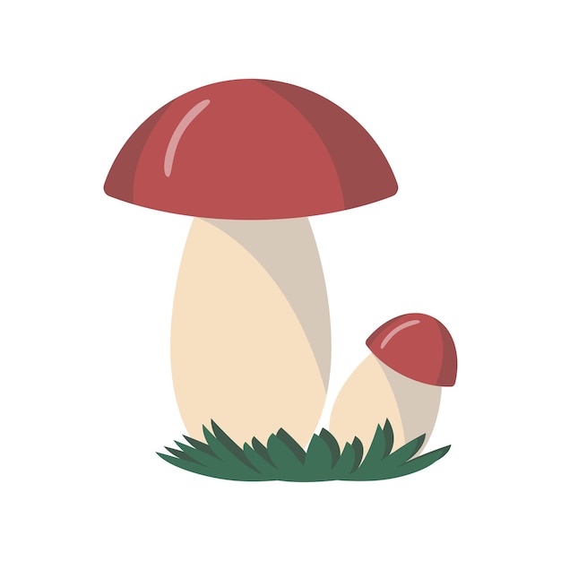 Two redhead mushrooms on a white background vector illustration