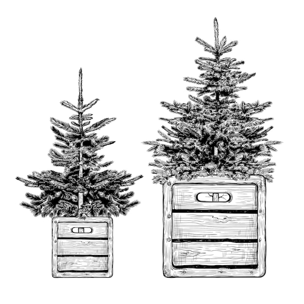 Vector two simple christmas trees in wooden boxes in loft style vector vintage illustration