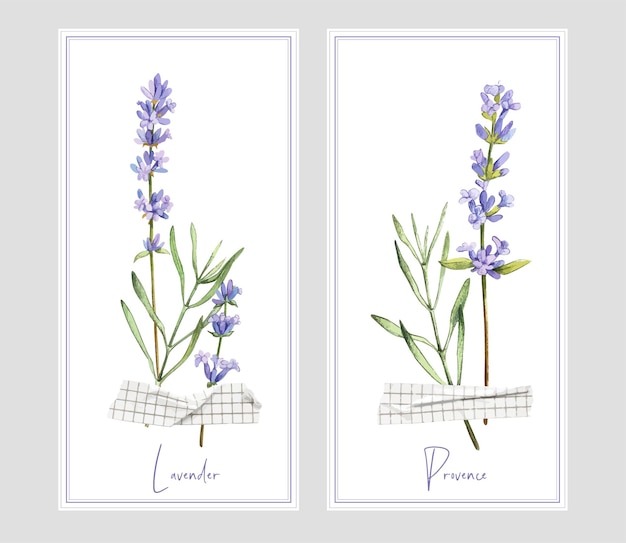 Two vertical banners with lavender and tape