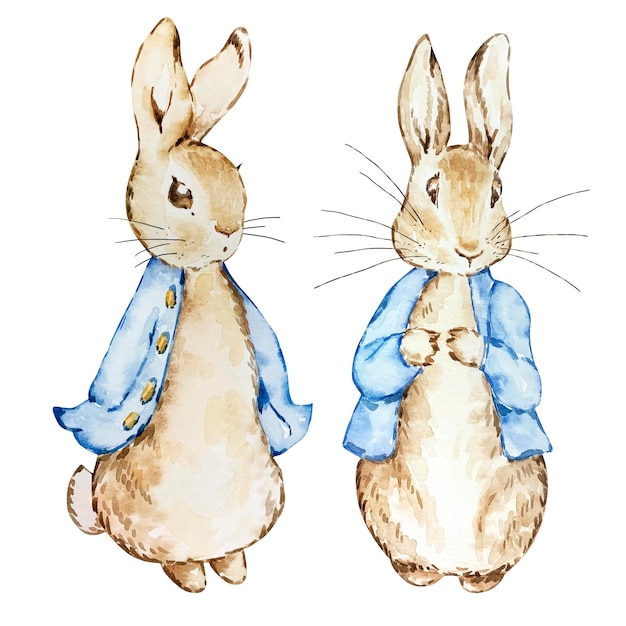 Two watercolor cute rabbits in a blue jacket