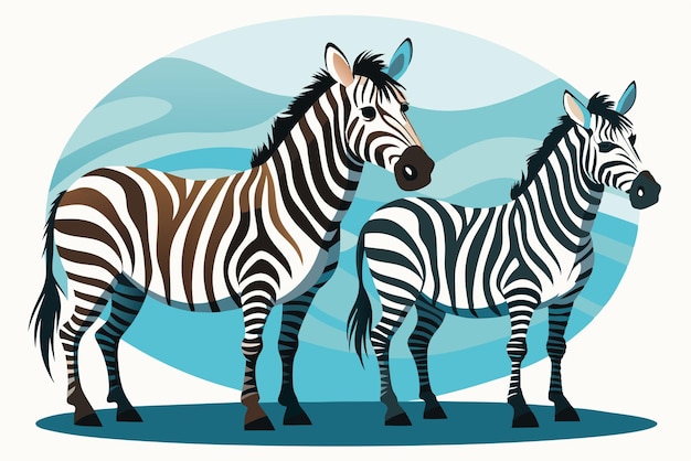 Vector two zebras standing on a blue and white background