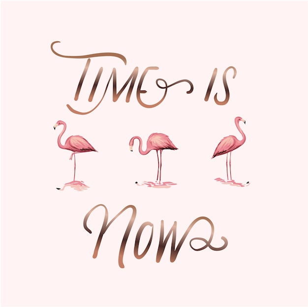 typography slogan with flamingos illustration