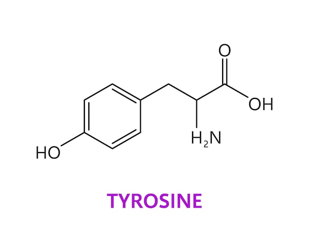 Tyrosine amino acid chemical molecules structure