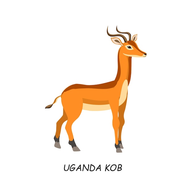 Uganda Kob African animal Vector illustration isolated on white background