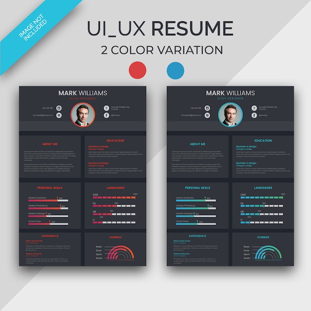 Vector ui/ux designer resume