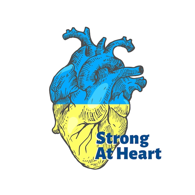 Ukrainians Strong at Heart Illustration Ukrainian flag in a hand drawn anatomical heart shape sign badge label tmplate Pray for Ukraine help stop war apparel print emblem Isolated