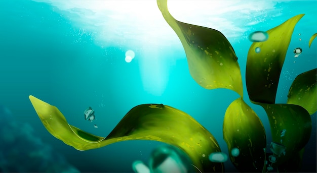 Undersea scene with seaweed and bubbles