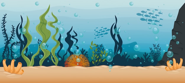 Underwater background, undersea reef, ocean with marine algae scene, habitat marine concept