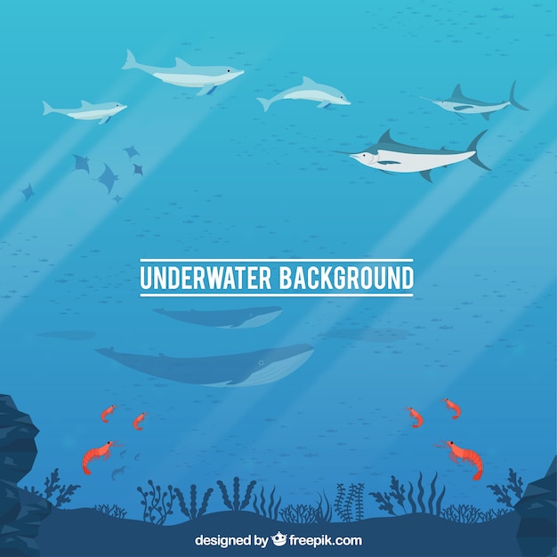 Underwater background with caricatures of aquatic animals