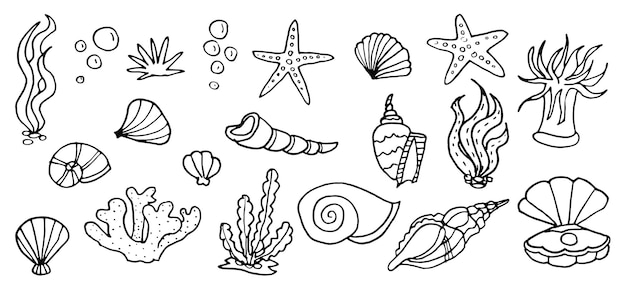 Underwater cute sea shells cartoon doodle design funny marine kids vector set