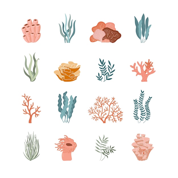 Underwater ocean flora flat icons Trendy coral reef and water plants vector set Aquarium algae laminaria seaweed isolated on white backgroundxDxA