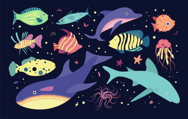 Underwater sea world dwellers. Fishes and medusa, dolphin, killer, whale shark.