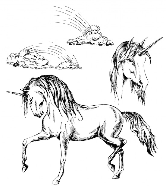 Unicorn, unicorns head and rainbow ink hand drawn illustration