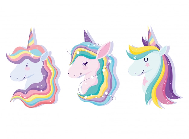 Unicorn with rainbow hair set