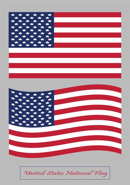 Vector united states national flag