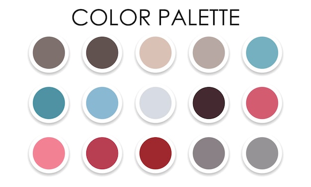 Universal color palette. Color combinations. Vector illustration