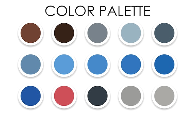 Universal color palette Color combinations Vector illustration