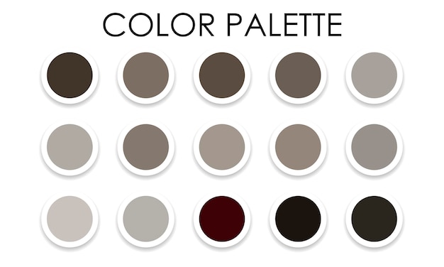 Universal color palette. Color swatches. Vector illustration