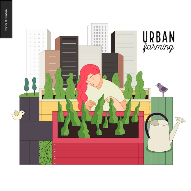 Urban farming and gardening