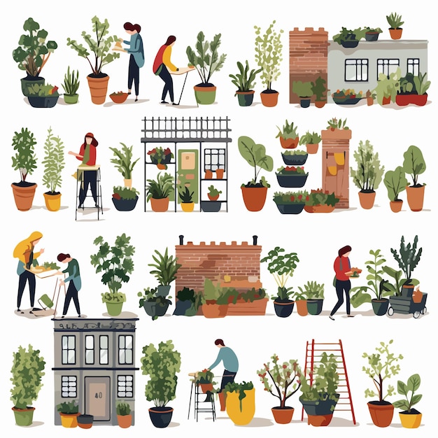 Urban Gardening Collection People Living in City