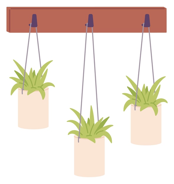 Vector urban jungle icon houseplants hanging on hooks