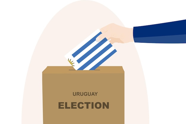 Uruguay vote concept man hand and ballot box election day Uruguay flag vector