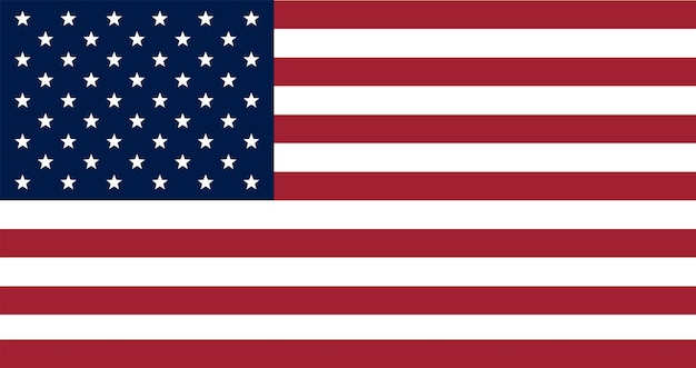 US American straight flag with true colors