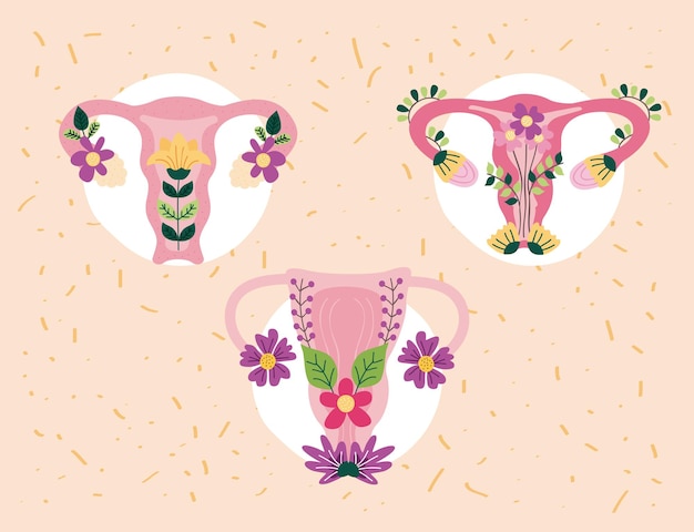 uterus with flowers set