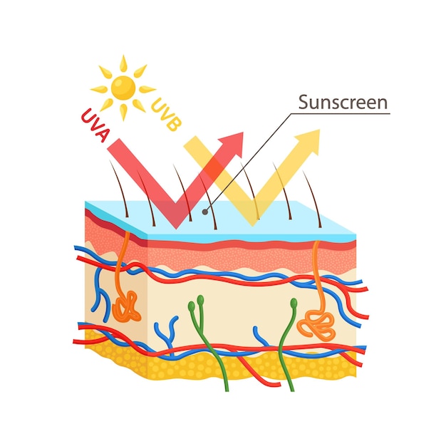 UV protection. Sunscreen lotion protect human skin from UVA