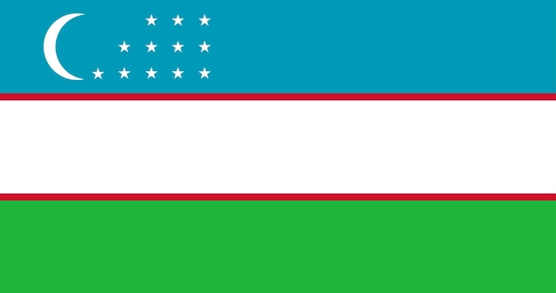 Uzbekistan flag in vector