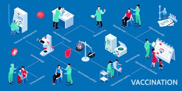 Vaccination isometric infographic scheme from approval immunization to vaccine trials and development of herd immunity illustration