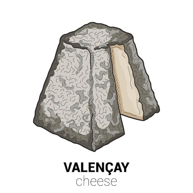 Valencay Goat Cheese Colorful Vector Illustration