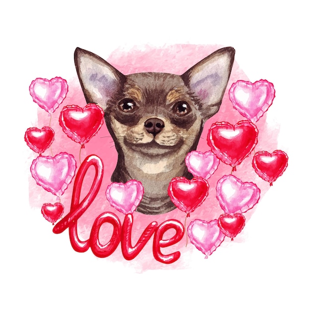 Valentines day Brown chihuahua dog with hearts and love. Watercolor illustration.