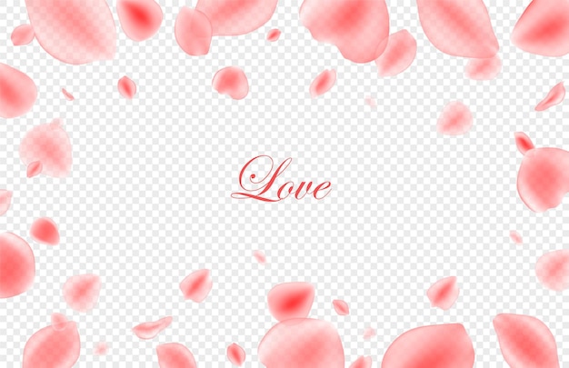 Valentines day festive background. Realistic pink rose petals on transparent background.  .