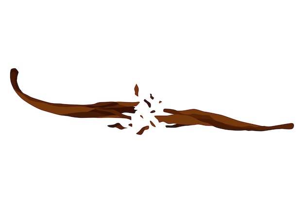 Vanilla pod or stick Realistic vector design isolated element Nature spice