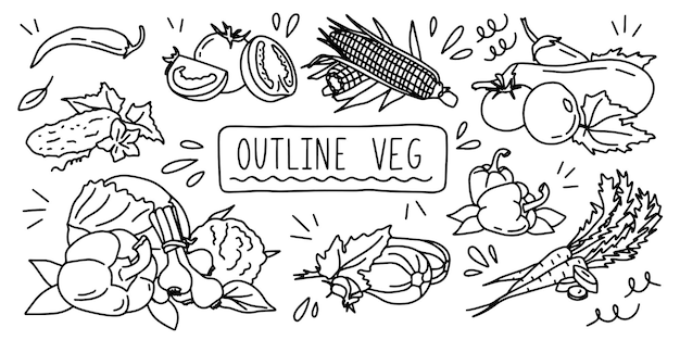 Variable fresh food healthy vegetables Outline veg doodle hand drawing icon line sketch