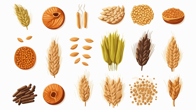 Vector variety of grains vector illustration in cart style