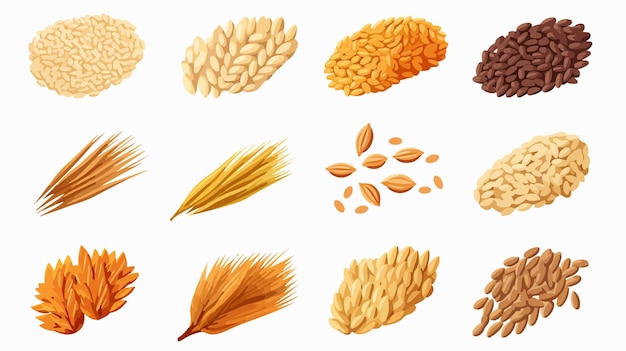 Vector variety of grains vector illustration in cart style