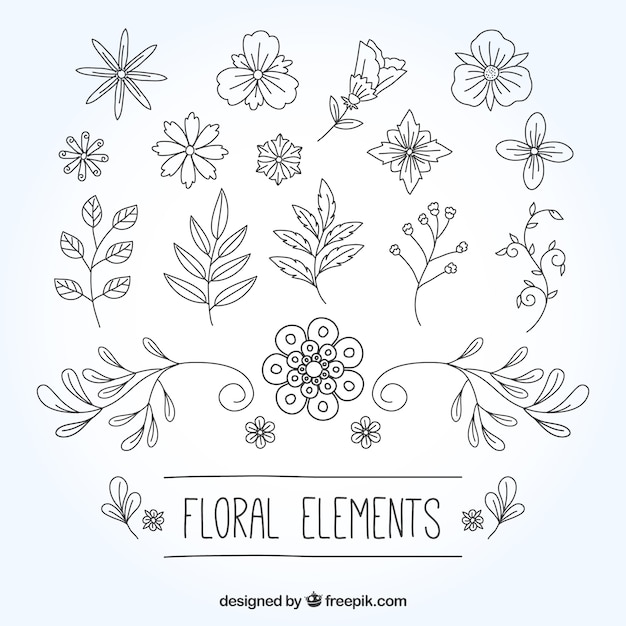 Variety of hand-drawn flowers and plants