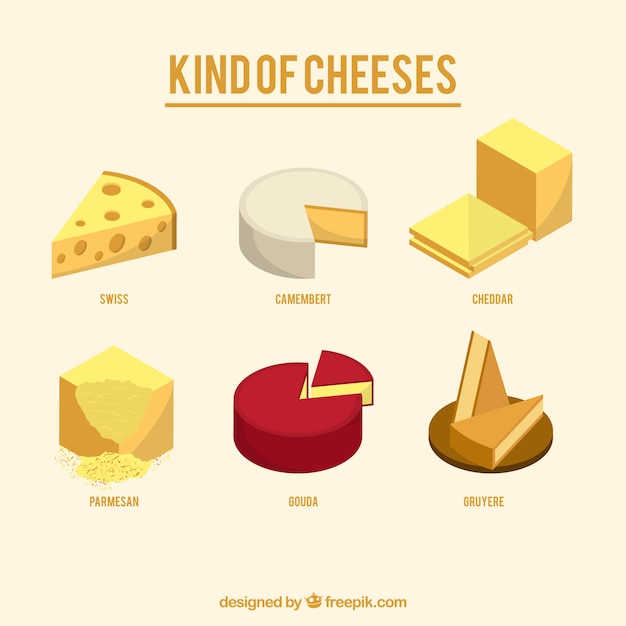 Vector variety of tasty cheeses 