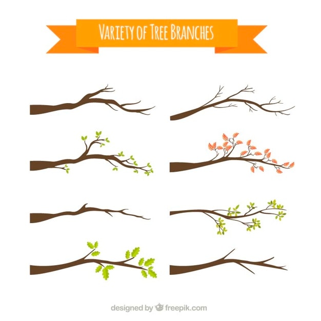 Variety of tree branches