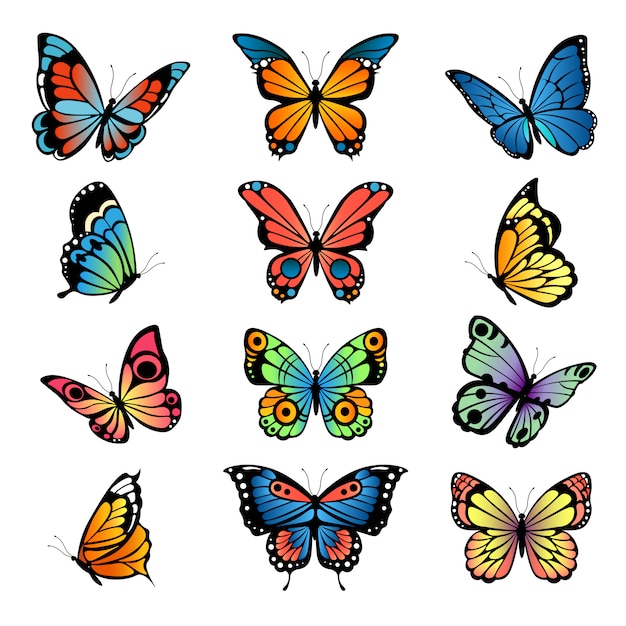 Various cartoon butterflies. Set  illustrations  butterflies