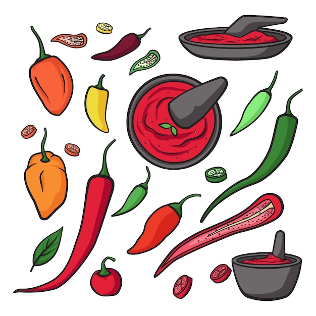 Various Chili pepper vegetable and sambal chili sauce indonesian food cuisine handdrawn doodle