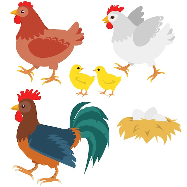 Various cute chickens flat icon set