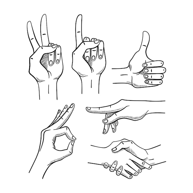 Various gestures of female hands Isolated on a white background Vector illustration